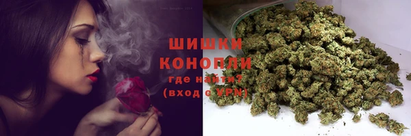 PSILOCYBIN Горно-Алтайск