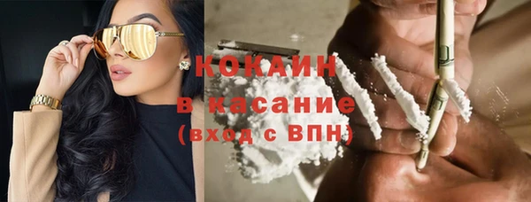 прущая мука Горняк