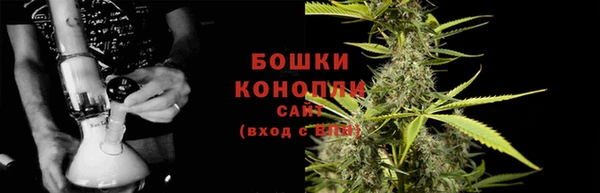 PSILOCYBIN Горно-Алтайск