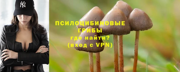 прущая мука Горняк