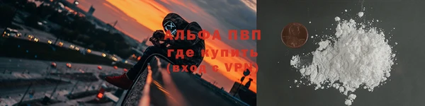PSILOCYBIN Горно-Алтайск